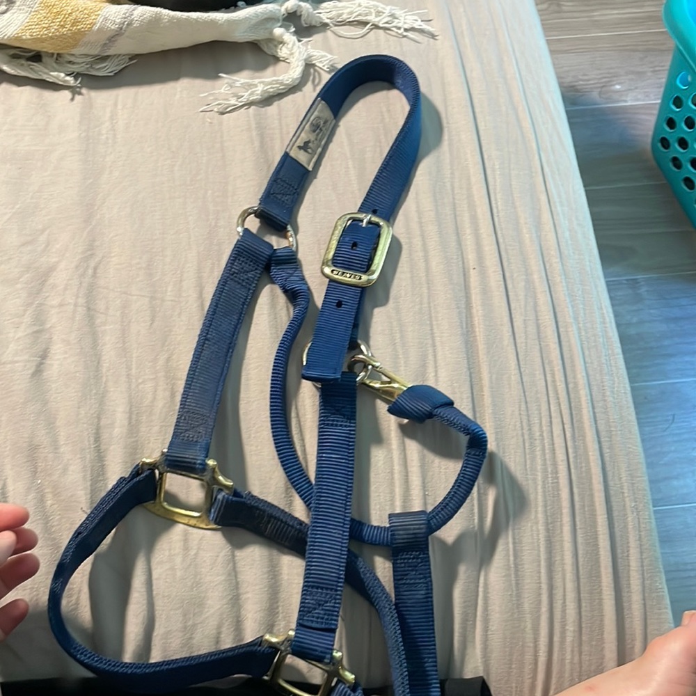 Navy blue 1” average size horse halter